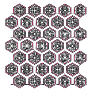 Sharara Embroidery Sequins Border