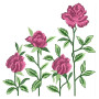 Machine Embroidery Border Patterns 26459
