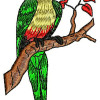 Parrot Machine Embroidery Designs 21137