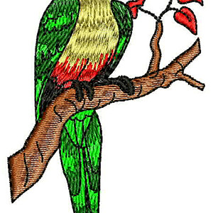 Parrot Machine Embroidery Designs 21137