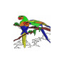 Good Parrot Pair Embroidery Design 21188