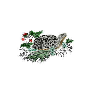 Sea Turtle Embroidery Design 21235