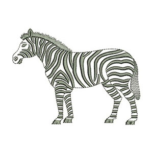 Zoo Zebra Embroidery Design 21487
