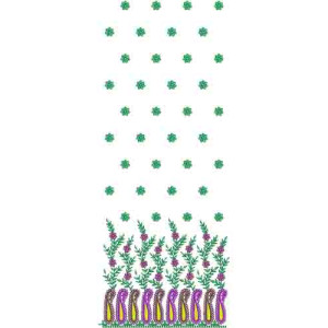 Daman Embroidery Design 10466