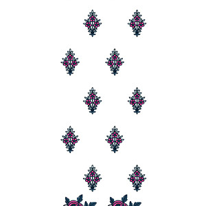 Daman Embroidery Design 12659