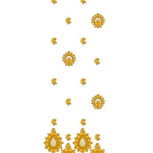 Paisley Design In Daman Embroidery 24360