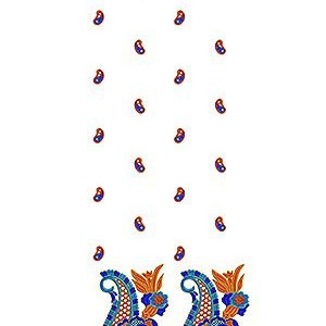 Women Embroidery Daman Design