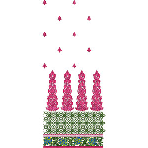 Anarkali Dresses Embroidery Suit Design