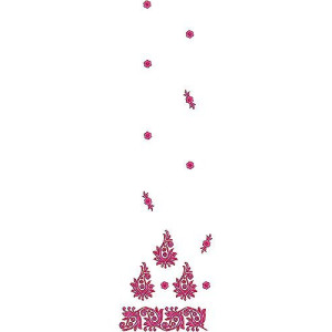 Handwork Saree Daman Embroidery Design