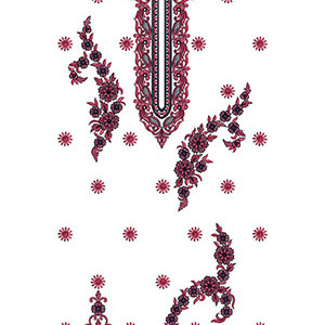 Pakistani Latest Suit Embroidery Design 21193