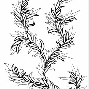 Patiyala Dress Embroidery Design 22741