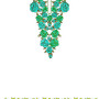 Italian Women Clothing Neck Embroidery Design