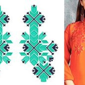 Beautiful Pakistani Mehndi Dress Embroidery Design