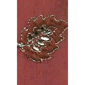 9899 Scarf Embroidery Design