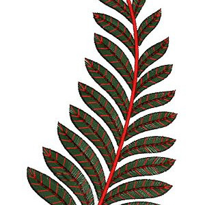 Glamorous Clothing Kali Embroidery Design 15069