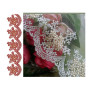 Red Ixora Flower Bunch Lace Border Design 24218