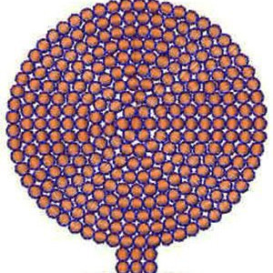 Polka Dot Embroidery Design