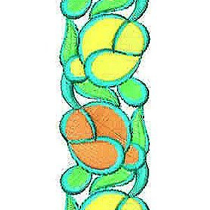 Fom Lace Border Brocade Embroidery Design